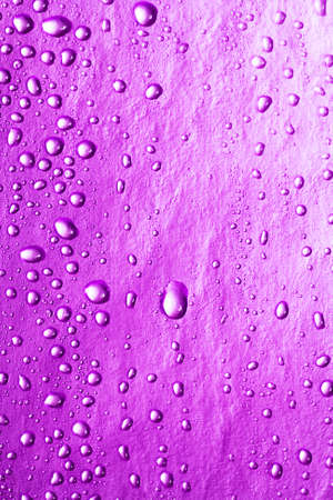 magenta water drops for background の写真素材