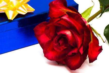 red rose and gift box の写真素材