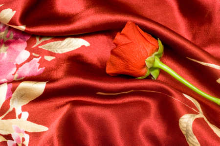 Rose on fabric satin texture の写真素材
