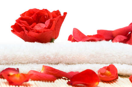 White towel and rose petals の写真素材