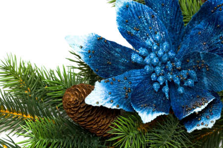 Christmas tree with blue poinsettia の写真素材