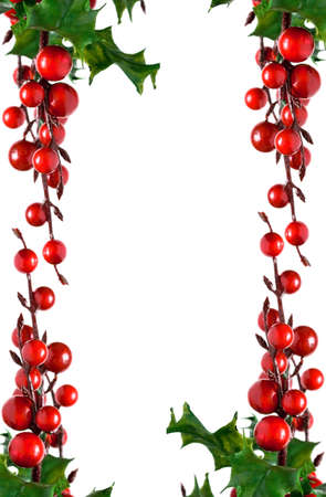 european holly isolated on white background の写真素材