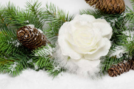 snow-bound rose in christmas tree の写真素材
