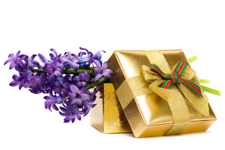 Violet flowers with golden gift box の写真素材