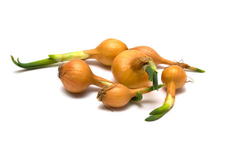 onions isolated on white background の写真素材