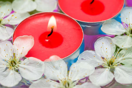 Candle with spring flowers in waterの写真素材