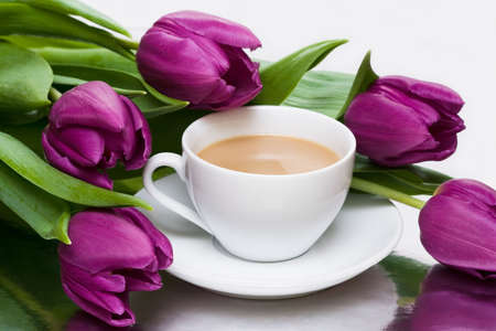 white cup of coffee with violet tulips の写真素材