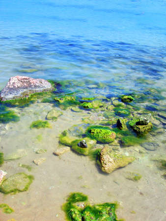 rocks on a beach of sea の写真素材