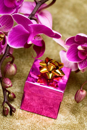 Gift box with purple orchidの写真素材
