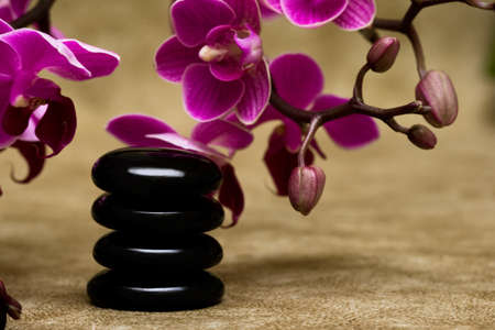 Spa essentials (pyramid of stones with purple orchids)の写真素材