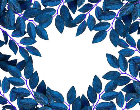 border of leaves isolated on white background 