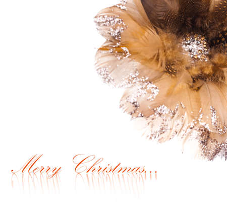 Christmas flower poinsettia made of feathers and rhinestonesの写真素材
