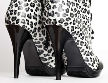 womanish shoes on white backgroundの写真素材