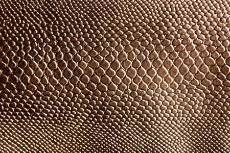 leather grunge texture for backgroundの写真素材