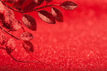 leaves on abstract christmas backgroundの写真素材