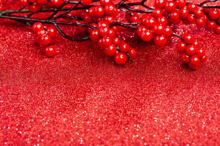 european holly on red background (shallow DOF) の写真素材