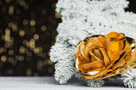 golden rose with festive backgroundの写真素材