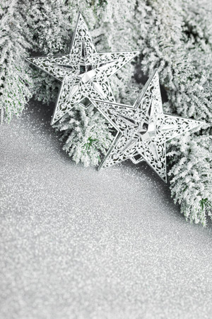 branch of Christmas tree with starsの写真素材