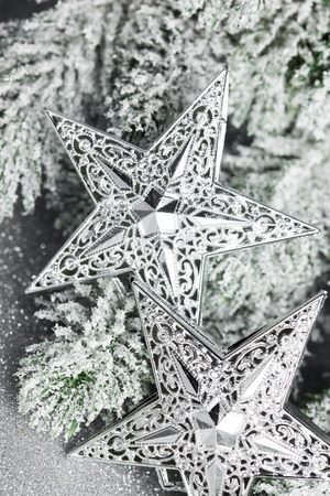 branch of Christmas tree with starsの写真素材