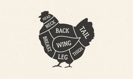 Cuts of Chicken. Butcher's diagram with hen silhouette. Meat cuts of Chicken. Vintage butcher guide template for grocery store, meat shop, butchery, restaurant. Vector illustrationのイラスト素材