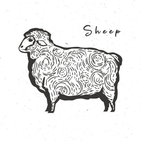 Sheep icon. Sheep vintage sketch isolated on white background. The farm animal designed for emblems, badges, posters. Vector illustrationのイラスト素材