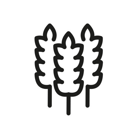 A single outline icon representing wheat ears. The icon could be used under the farming, agriculture, grain, bread and gluten products categories. For web, mobile. Vector Illustration.のイラスト素材
