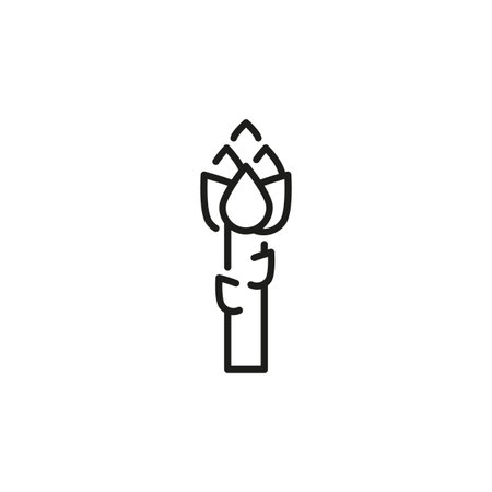 Asparagus icon. Simple asparagus icon for social media, app, and web design. Vector illustrationのイラスト素材