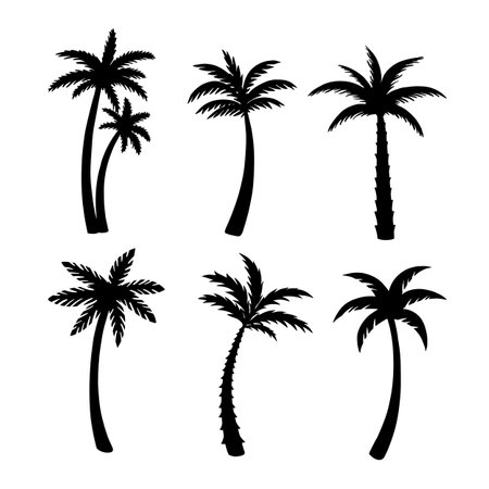 Palm trees silhouettes set. Set of 6 palm silhouettes. Palm trees silhouettes isolated on white background. Desert, Tropic, Beach, Summer silhouettes template. Vector illustrationのイラスト素材