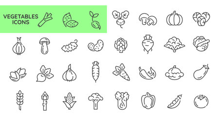 Vegetables icons. Set of 31 vegetable trendy minimal icons. Example: Celery, Mushroom, Tomato, Carrot, Pepper icon. Design signs for web page, mobile app, packaging design. Vector illustrationのイラスト素材