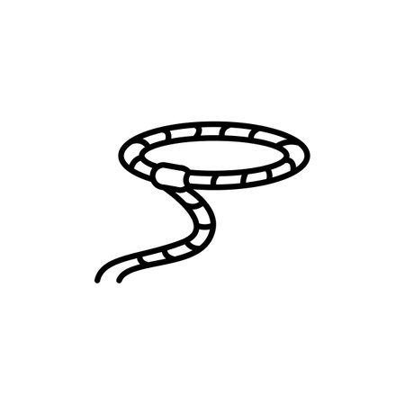 Lasso icon. Simple horse lasso icon for social media, app, and web design. Vector illustrationのイラスト素材
