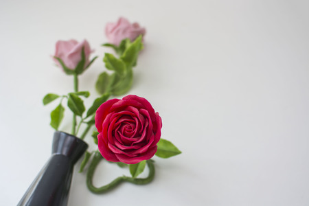 red rose isolated on white background.の写真素材