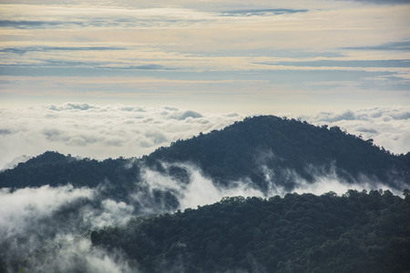 Beautiful landscape with sea of fog at Mae Wong National Park mountain viewpoint in Kamphaeng Phet...