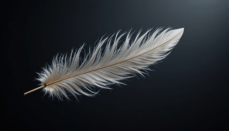 A soft white feather rests gracefully, emphasizing its fine structure and the contrast with the dark backdrop.の素材