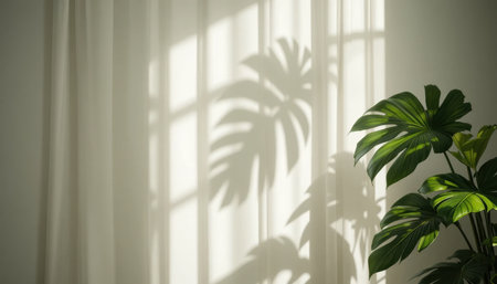 Soft sunlight creates a calming atmosphere as it illuminates a curtain, forming a leaf shadow on the wall.の素材