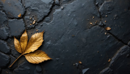 A single golden leaf lies on rough, cracked black pavement, showing the beauty of autumn in a calm environment.の素材