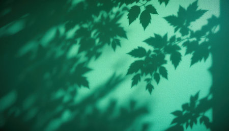 Natural light filters through leaves, creating delicate shadows on a teal wall, adding a peaceful atmosphere indoors.の素材