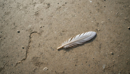 A delicate feather lies on a smooth sandy ground, bathed in soft natural light, creating a serene atmosphere.の素材