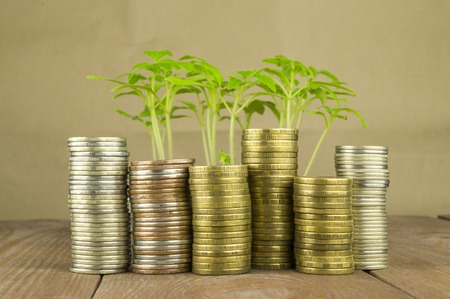 coins on a wooden tableの写真素材