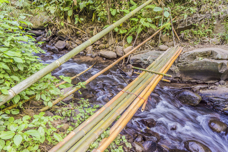 Bamboo bridge over rill in forestの写真素材