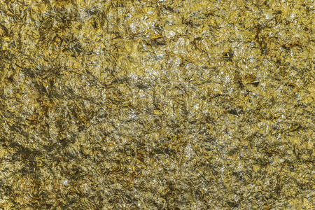 The gold leaf. For the background and texturesの写真素材