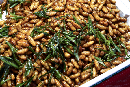 Fried silkworms, exotic asian food, local snack street food in Thailandの写真素材