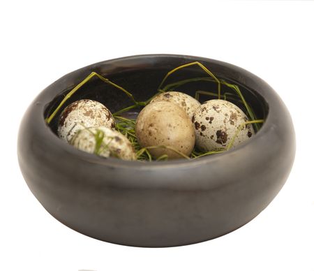 Egg of a bird in a box isolated on the whiteの写真素材