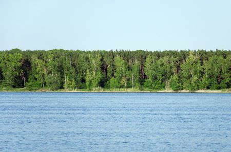 beautiful representation of lake with green wood ashoreの写真素材