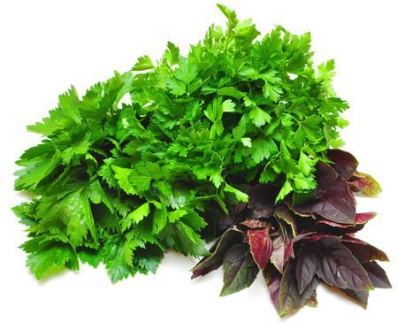 collection of fresh herbs necessary on the each kitchen の写真素材