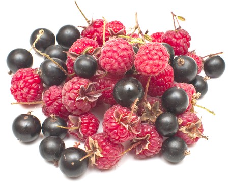 raspberries and black currant isolated on a white background の写真素材