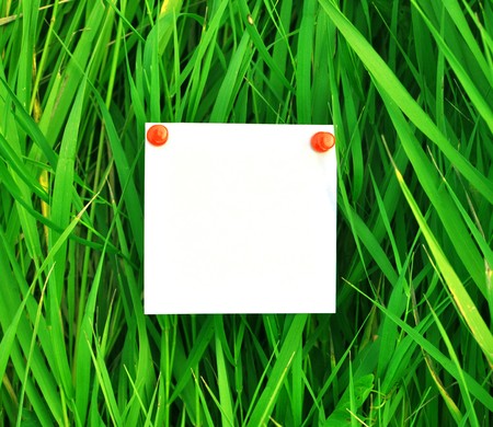 paper attached to green grass, may be used as background の写真素材