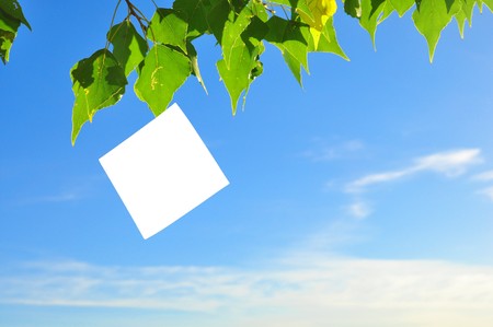 blank paper sheet on a against the blue skyの写真素材