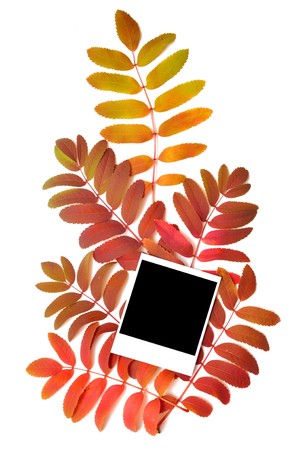 blank photo frames over autumn background
