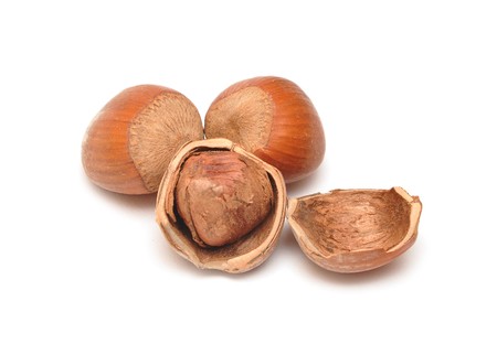 close up open hazelnut isolated on white background 