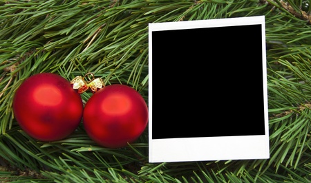 christmas red ball and old photo on pine branchの写真素材